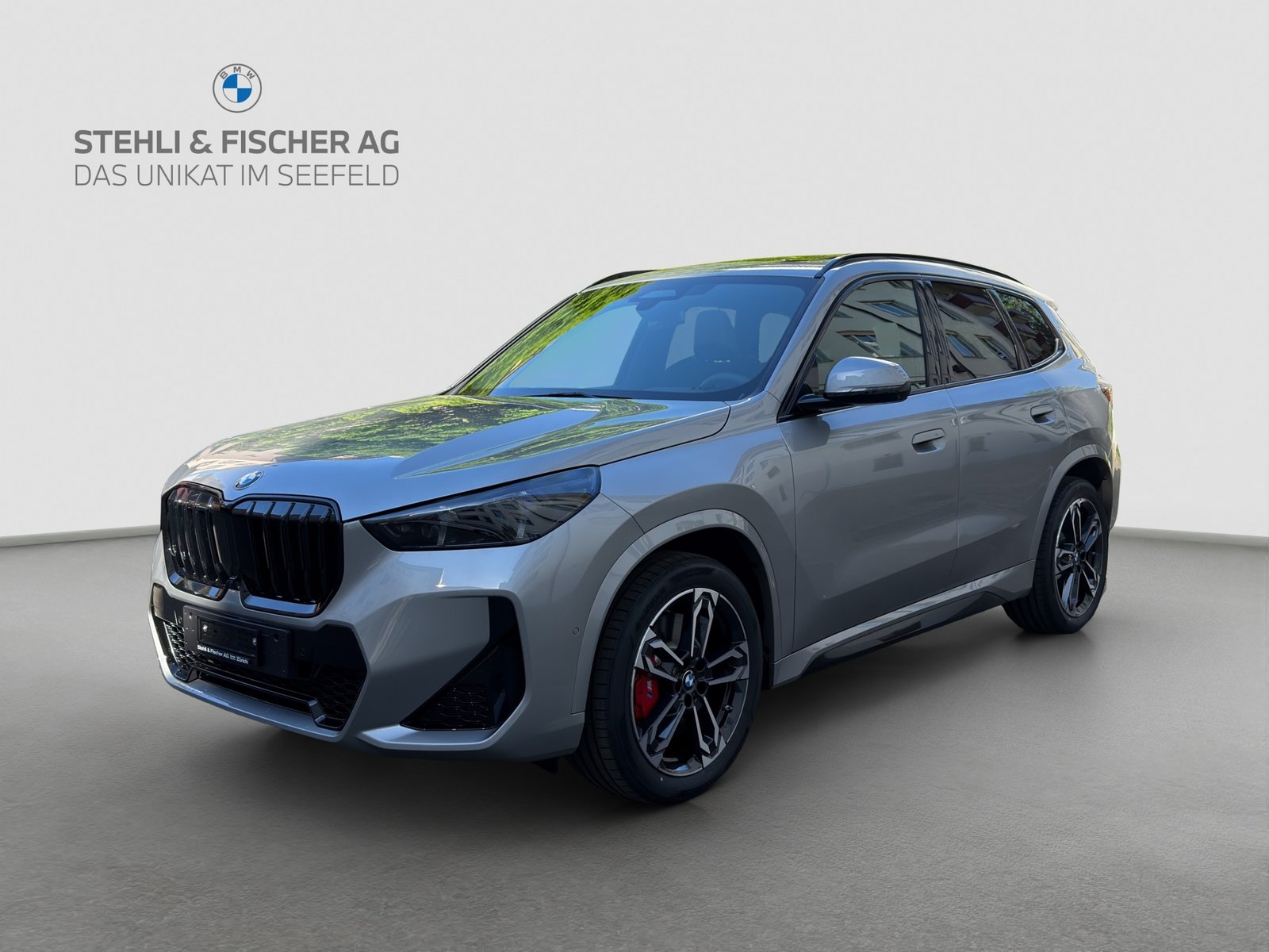 BMW X1 23d 48V M Sport Pro