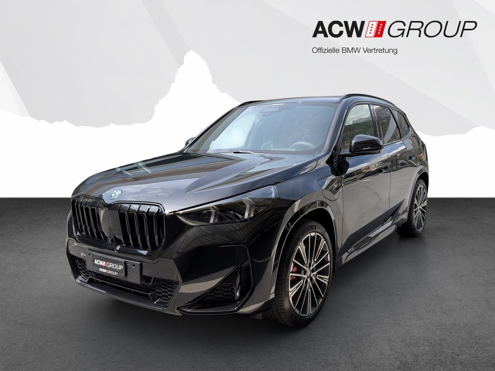 BMW X1 30e