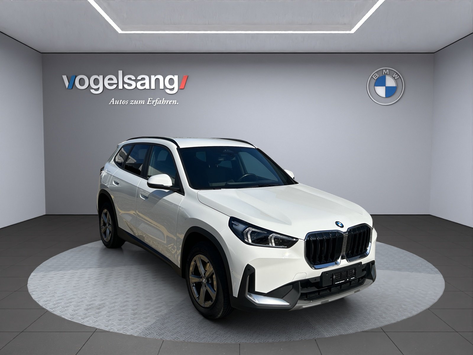 BMW X1 sDrive 18i, Benzina, Occasioni / Usate, Automatico - 6