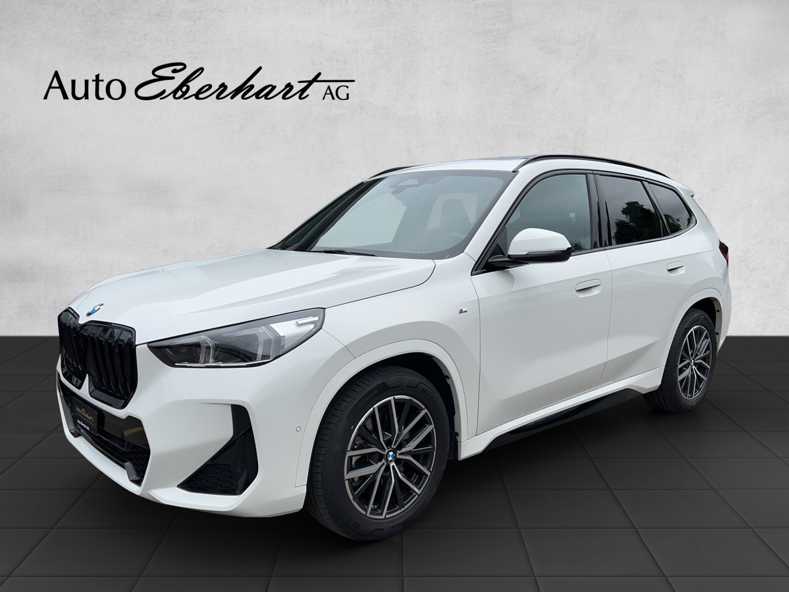 BMW X1 23d 48V M Sport