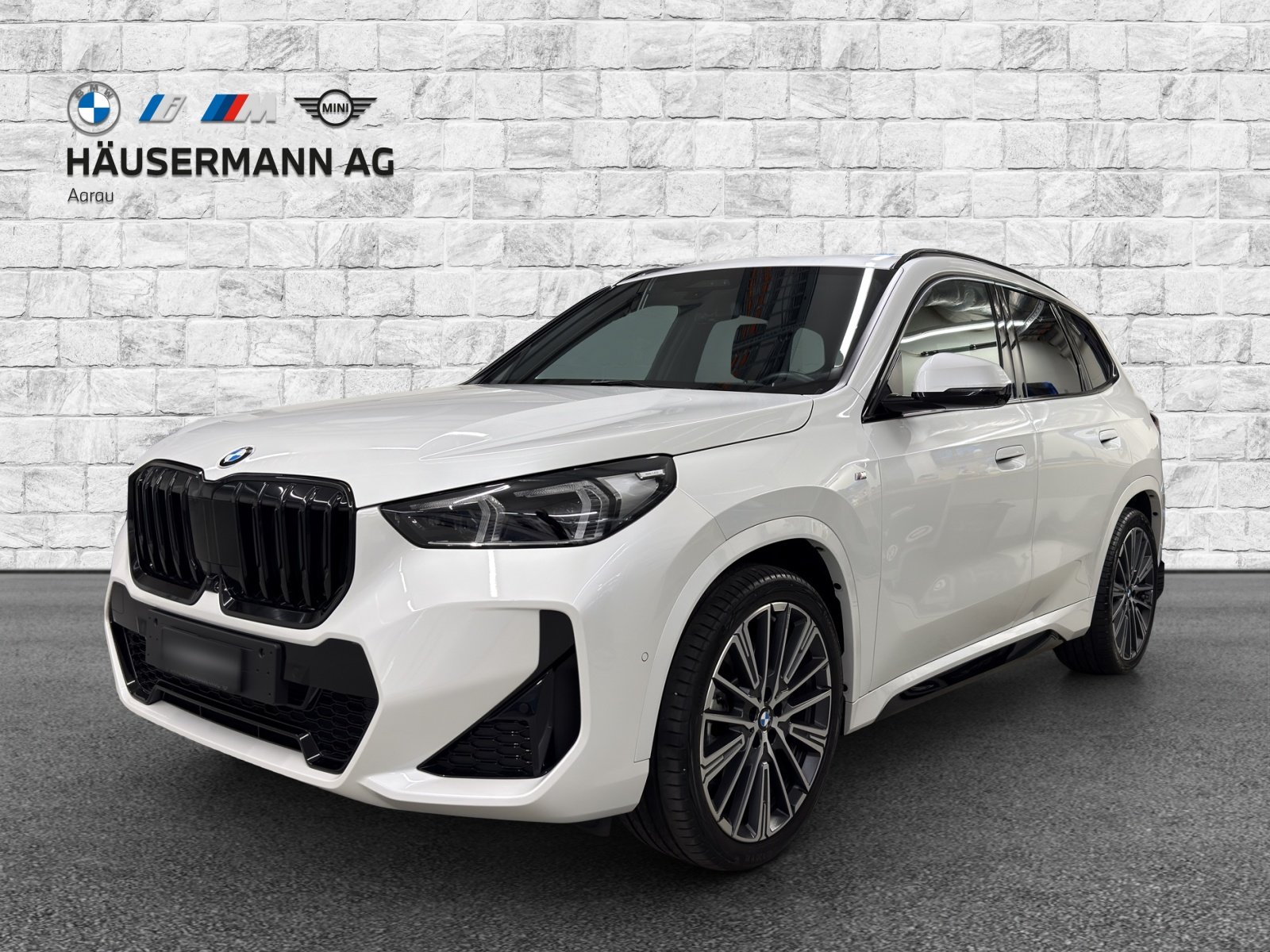 BMW X1 23i 48V M Sport