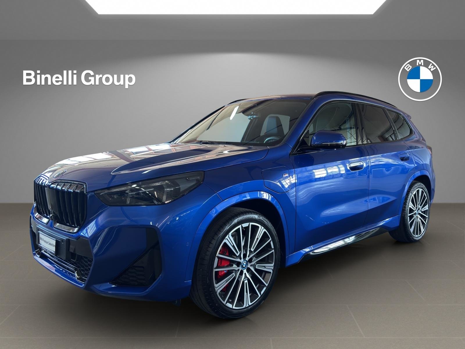 BMW X1 30e paddles