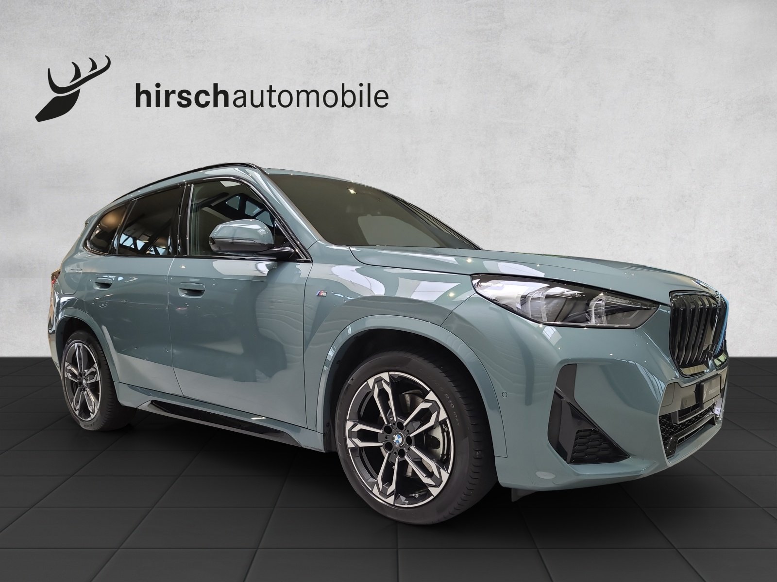 BMW X1 23d 48V M Sport, Diesel, Occasion / Gebraucht, Automatik - 5