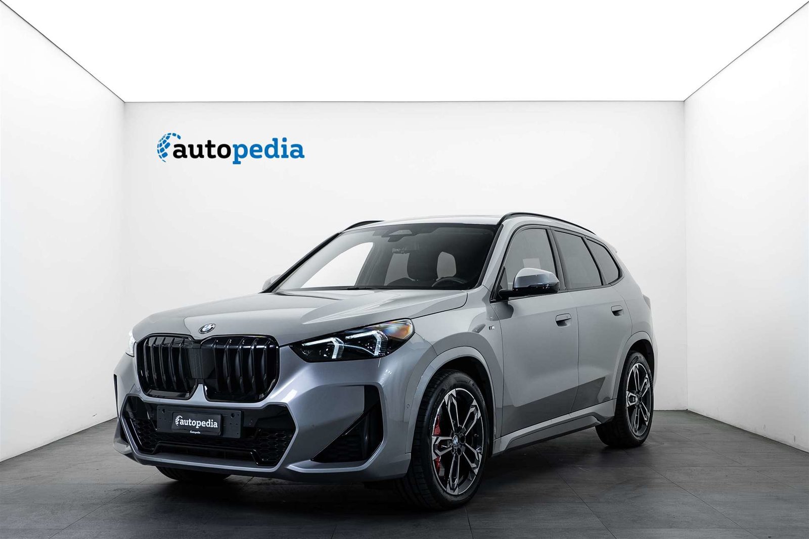 BMW X1 20d 48V M Sport Pro 163PS