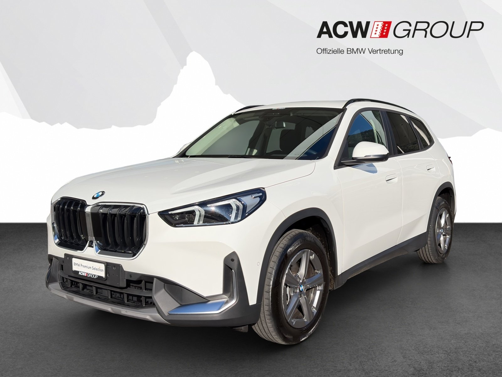 BMW X1 20d