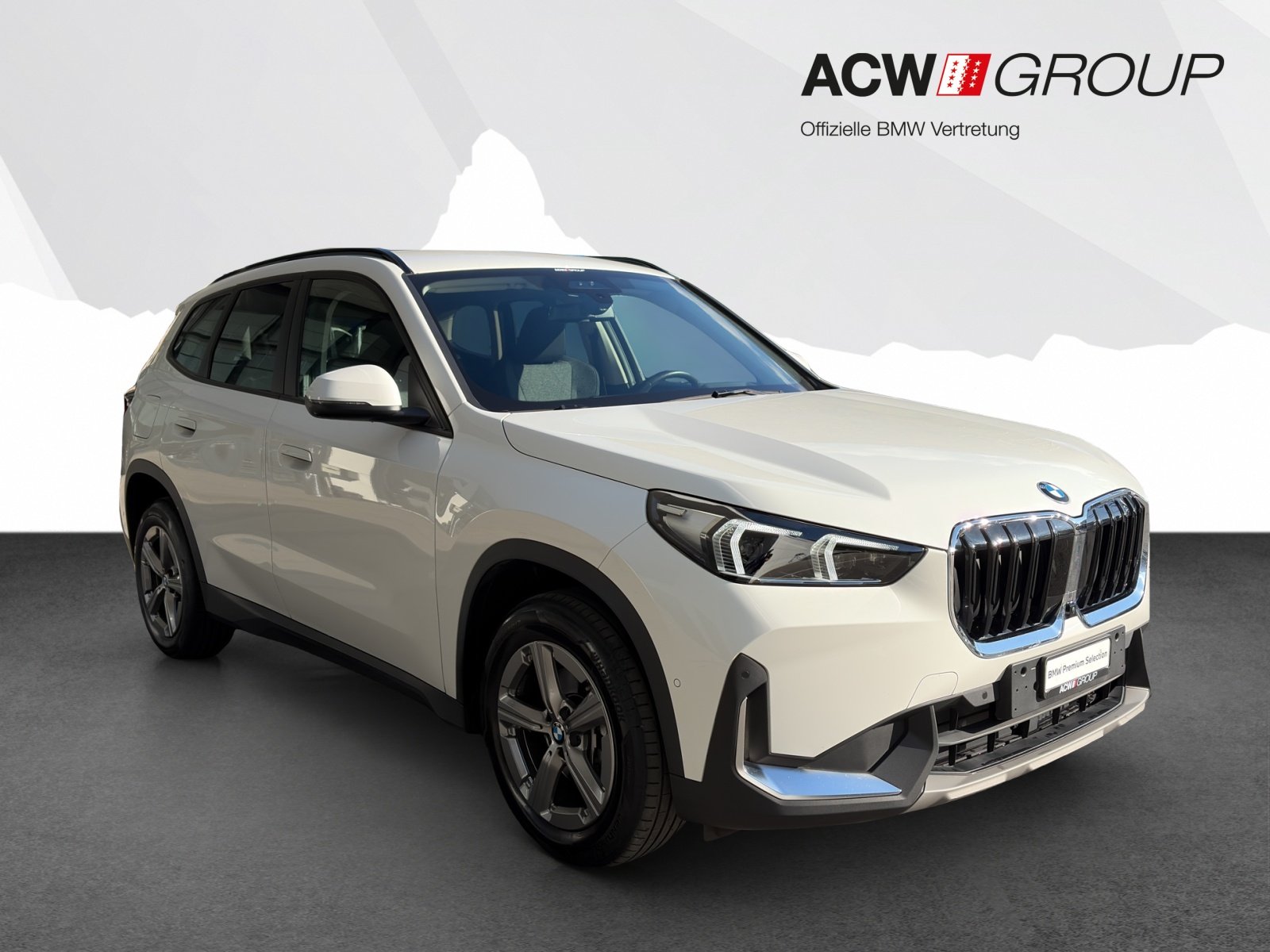 BMW X1 20d, Mild-Hybrid Diesel/Elektro, Occasion / Gebraucht, Automatik - 7