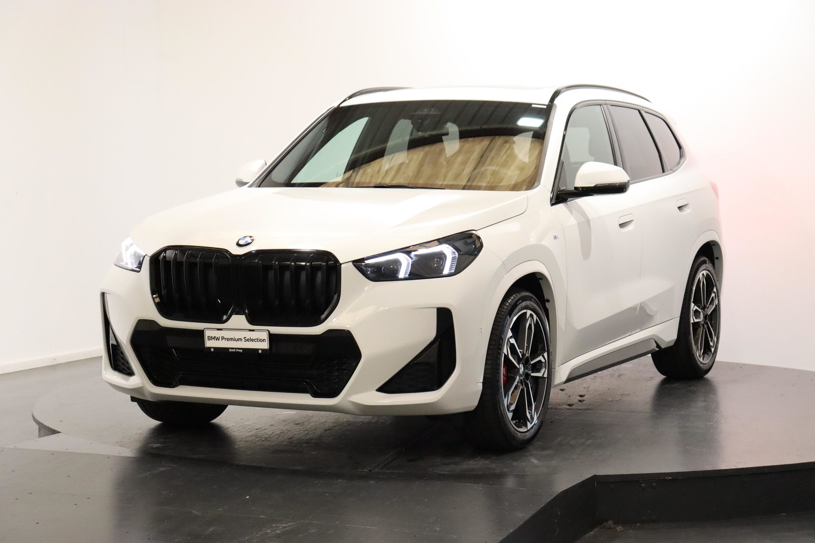 BMW X1 20d xDrive paddles