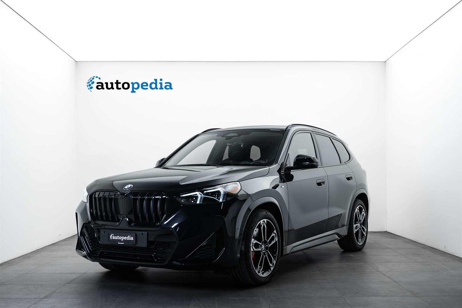 BMW X1 20d 48V M Sport Pro