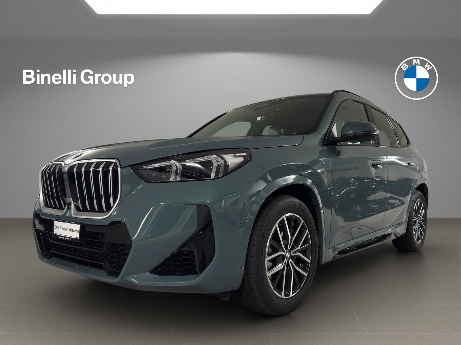 BMW X1 23i paddles