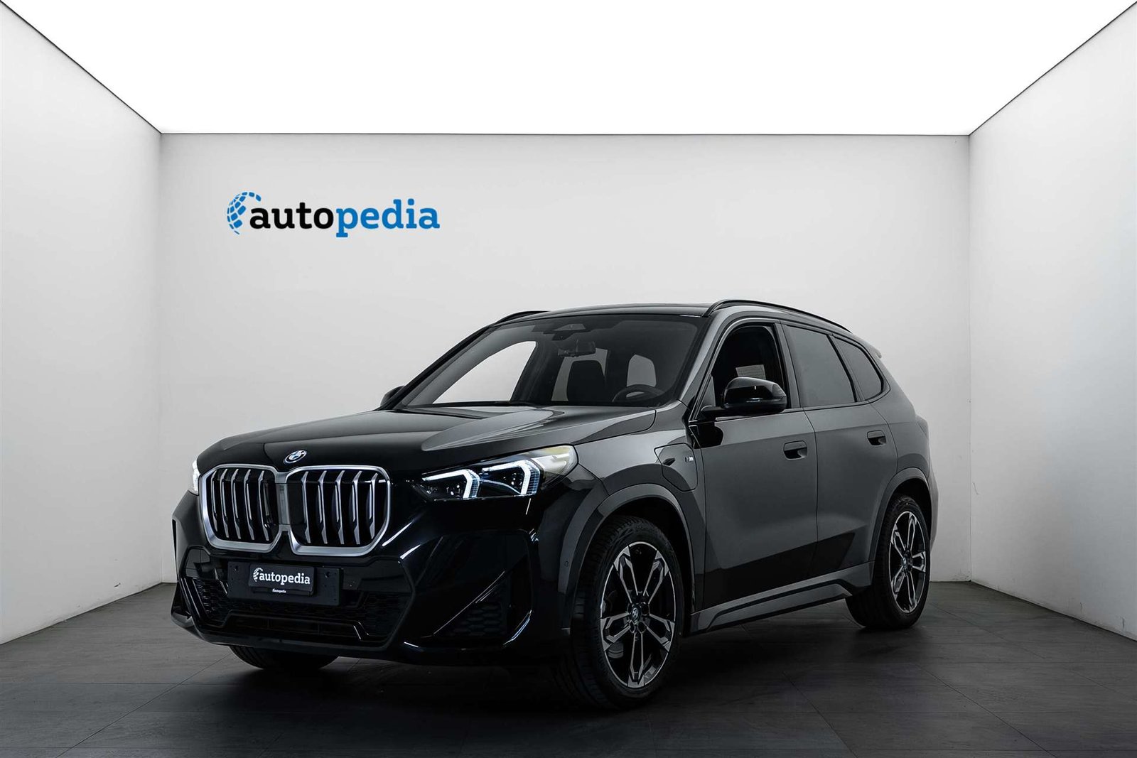 BMW X1 25e M Sport 245PS Automat