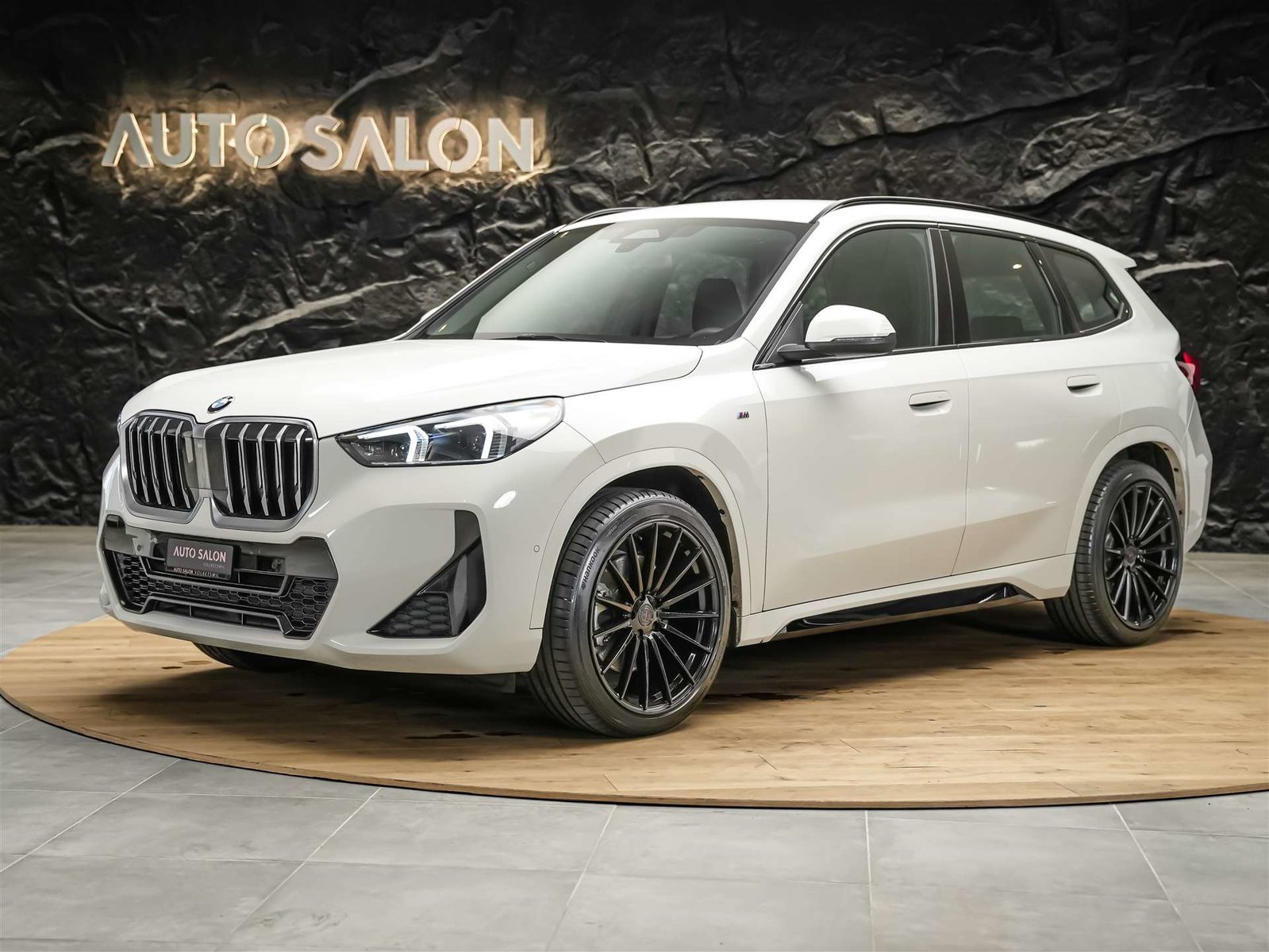 BMW X1 23i 48V M Sport *20 Felgen*Harman/Kardon*El. S