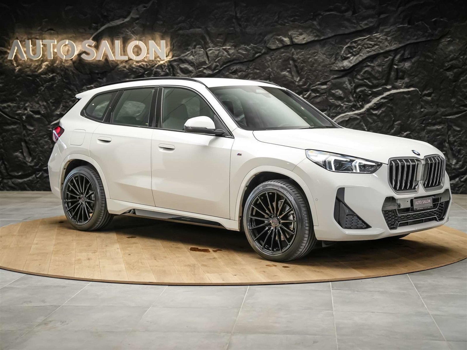 BMW X1 23i 48V M Sport *20 Felgen*Harman/Kardon*El. S, Benzin, Occasion / Gebraucht, Automatik - 6