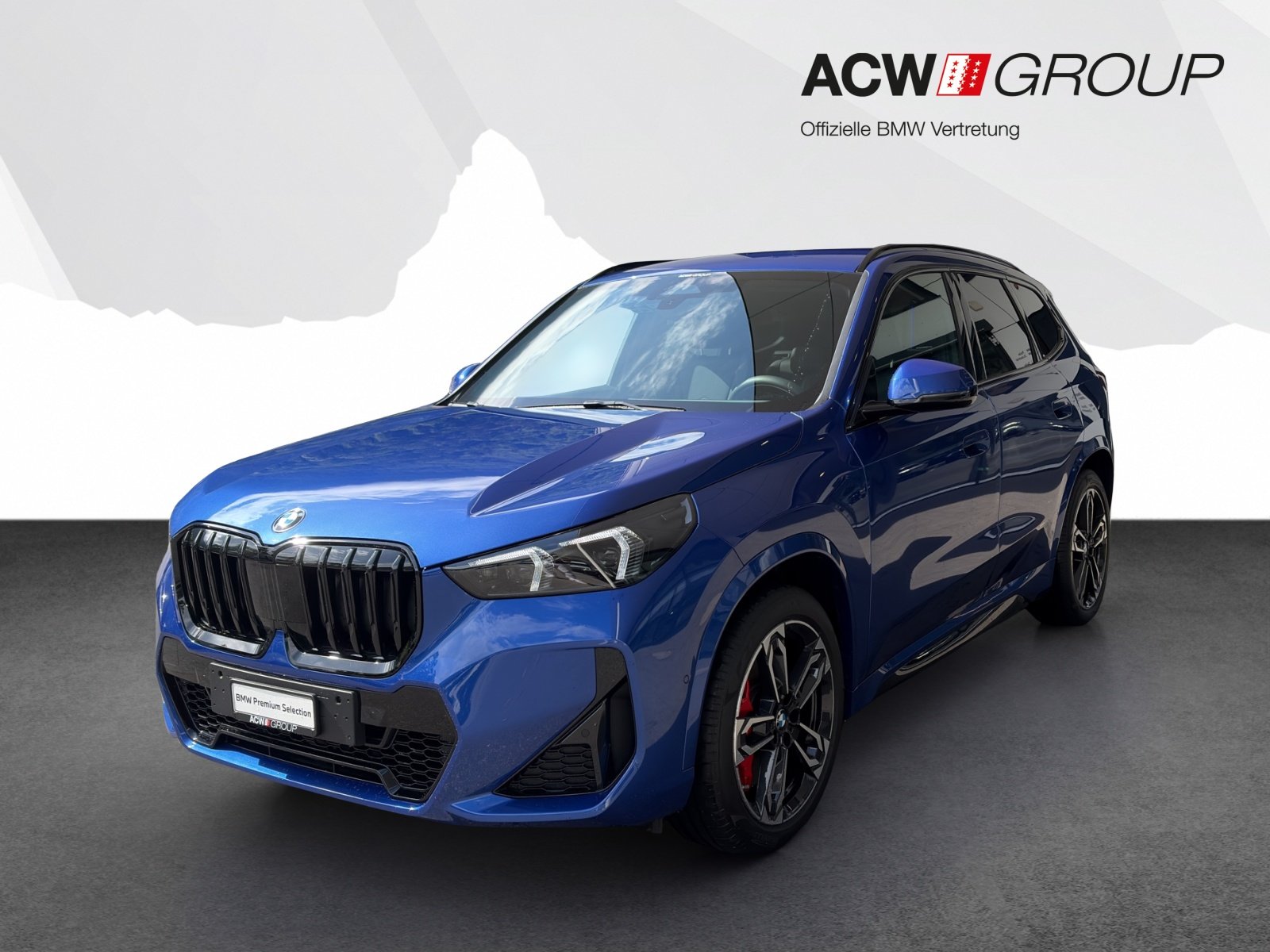 BMW X1 23i
