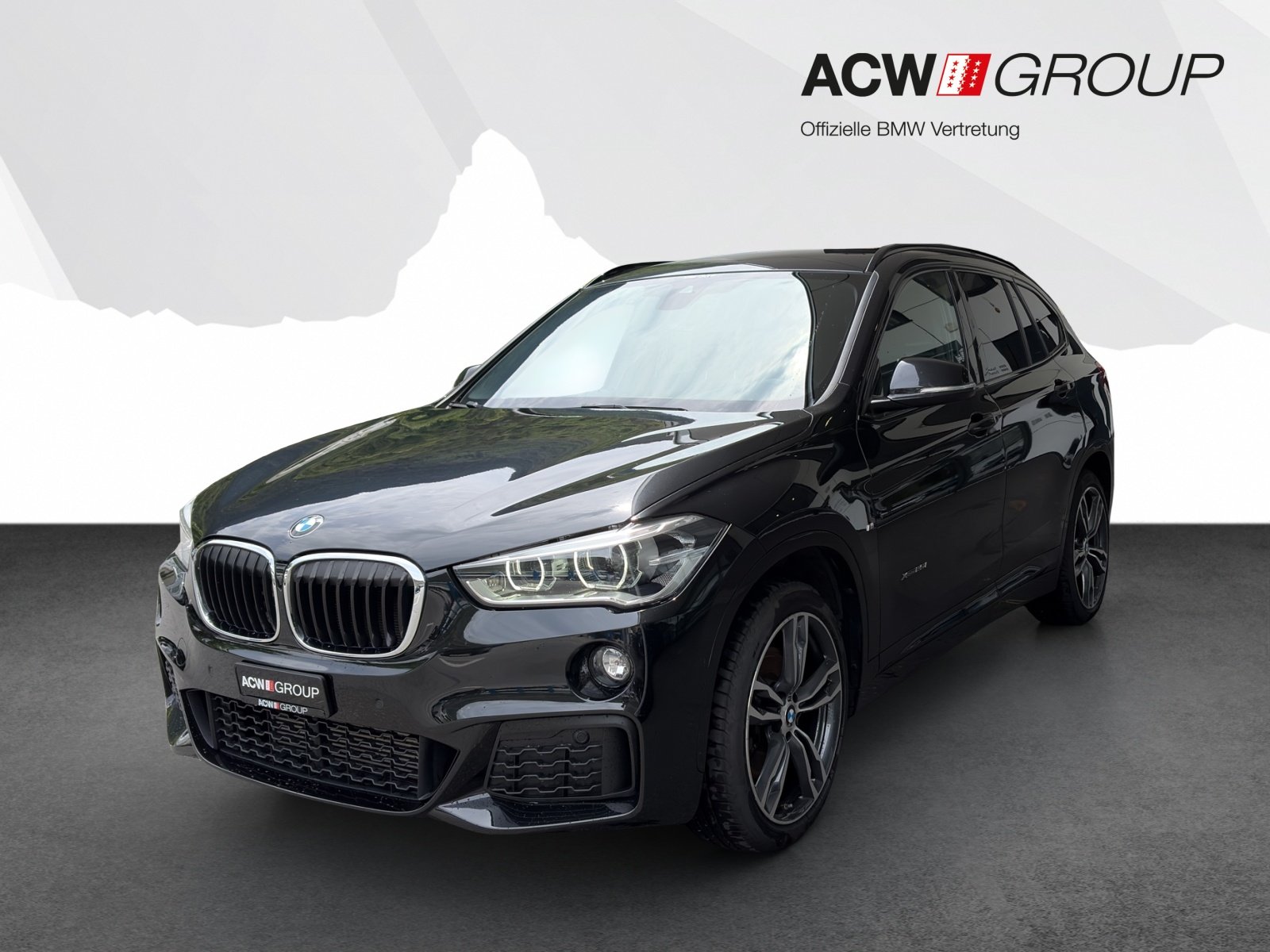 BMW X1 25i