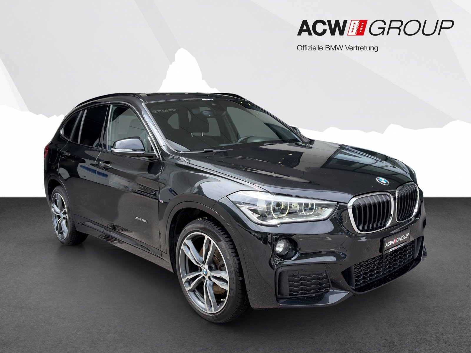 BMW X1 25i, Benzin, Occasion / Gebraucht, Automatik - 7