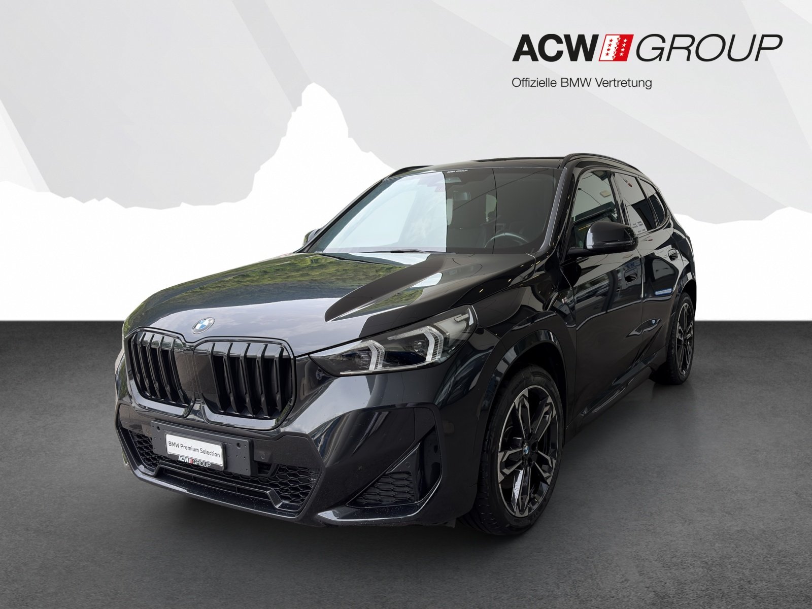 BMW X1 23i