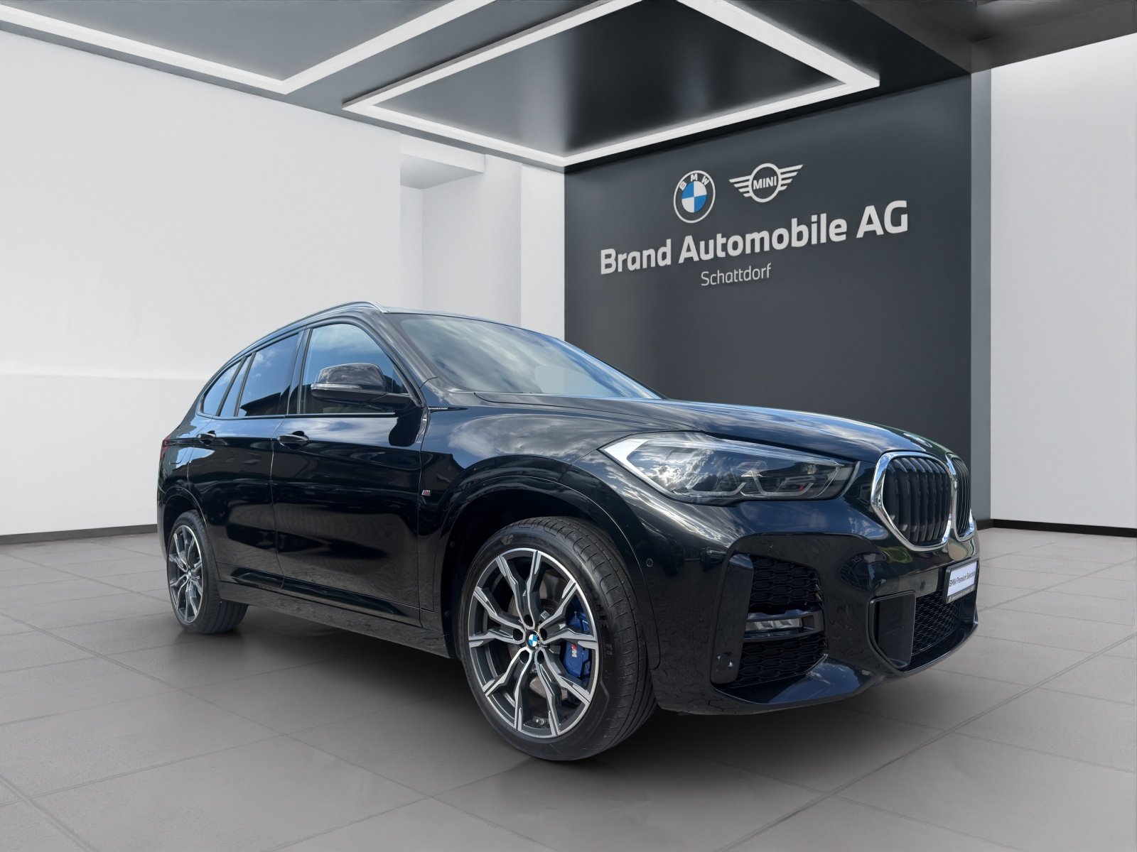BMW X1 25i SAG, Essence, Occasion / Utilisé, Automatique - 7