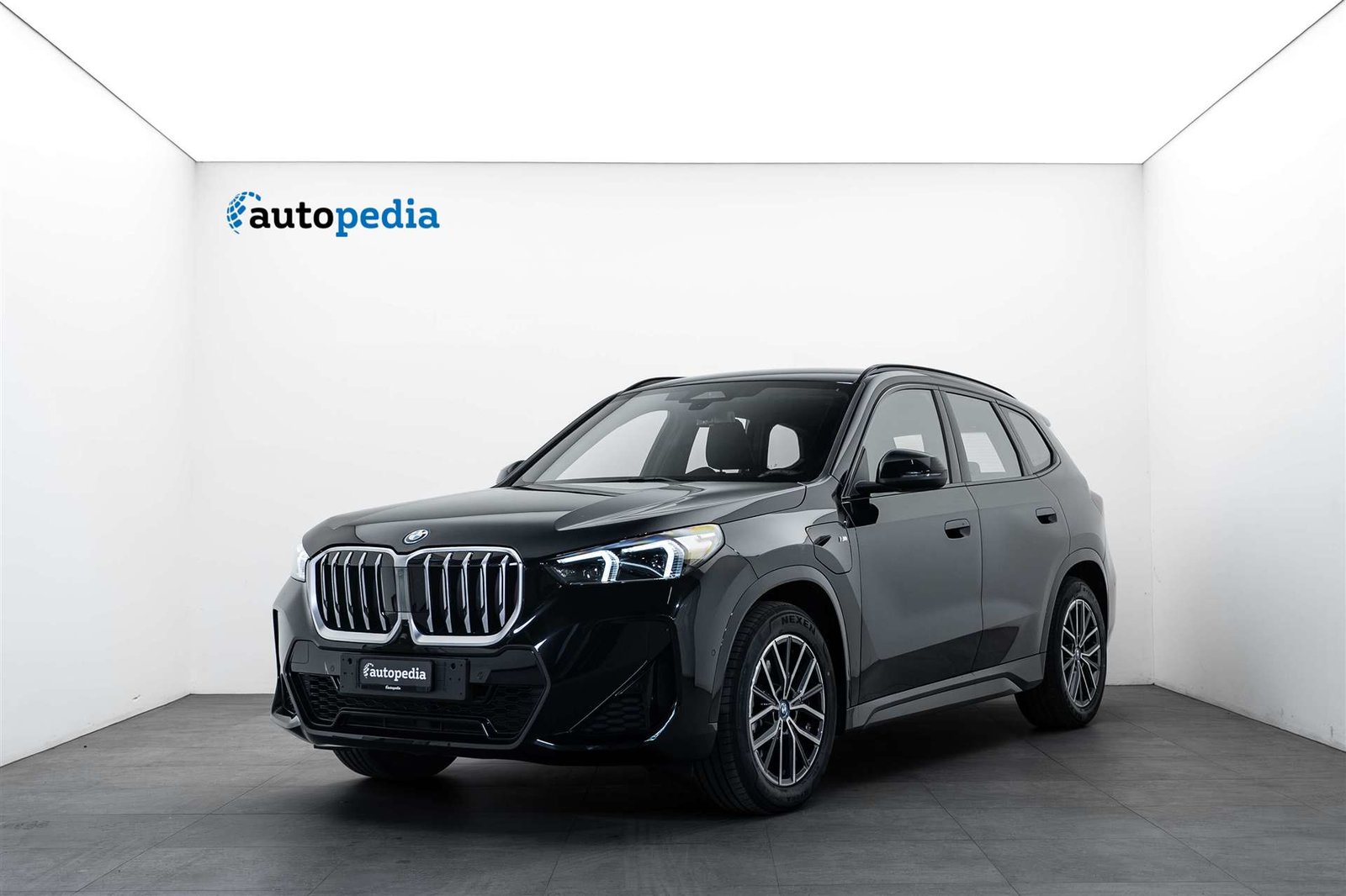 BMW X1 25e M Sport 245PS Automat