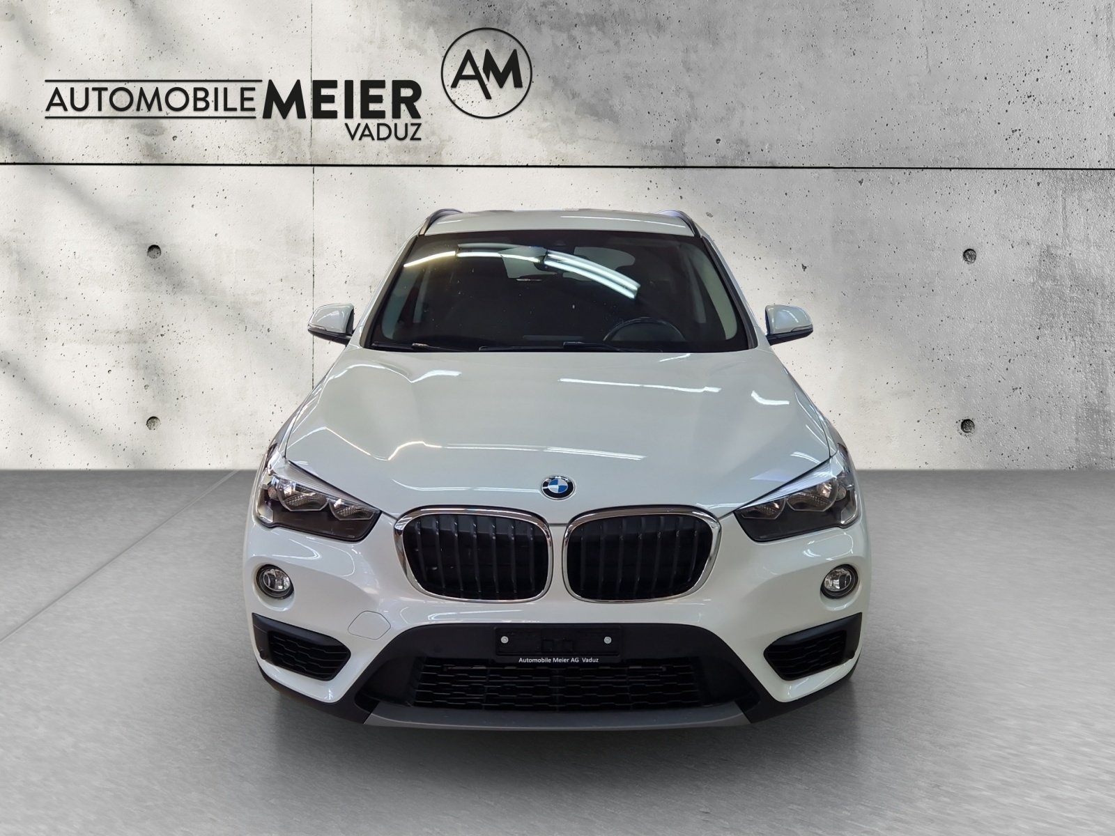 BMW X1 F48 20d, Diesel, Occasioni / Usate, Automatico - 3