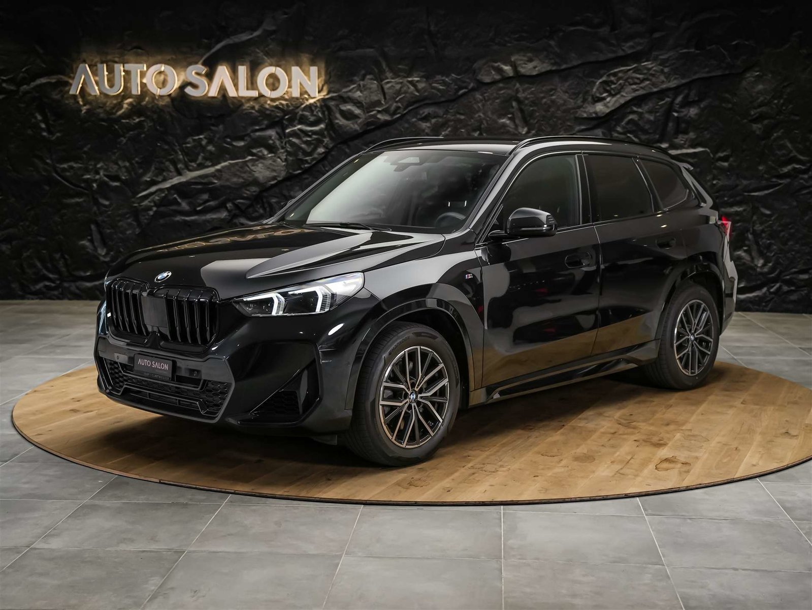 BMW X1 23i M Sport *Abstandsregler*El. Sitze mit Memo