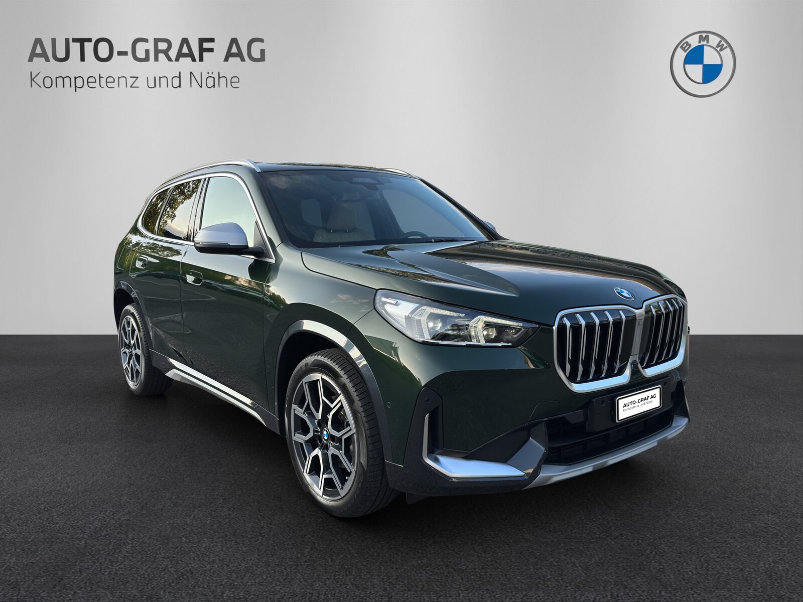 BMW X1 20d xDrive X Line, Hybride Leggero Diesel/Elettrica, Occasioni / Usate, Automatico - 7
