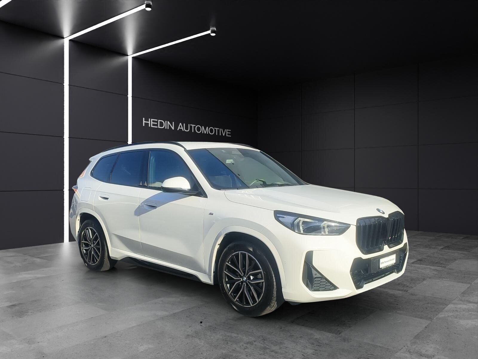 BMW X1 23d xDrive paddles, Hybride Leggero Diesel/Elettrica, Occasioni / Usate, Automatico - 7