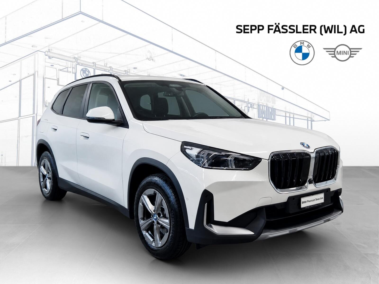 BMW X1 xDrive30e, Plug-in-Hybrid Benzina/Elettrica, Occasioni / Usate, Automatico - 7