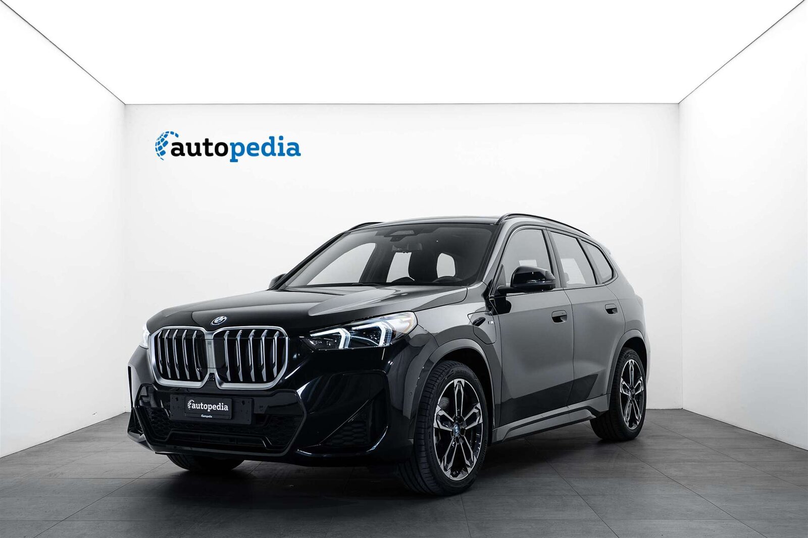 BMW BMW X1 25e M Sport 245PS Automat