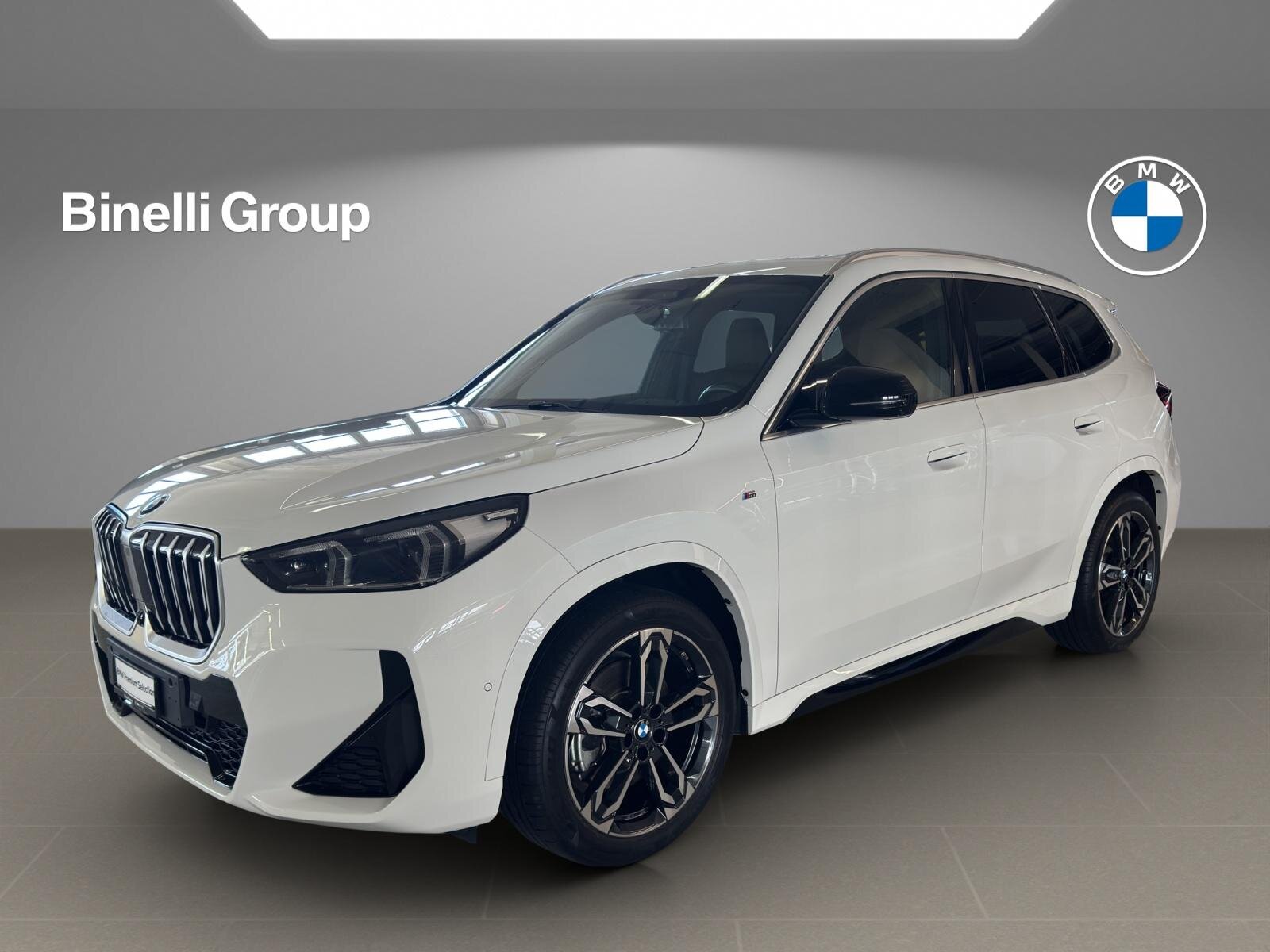 BMW X1 23d paddles