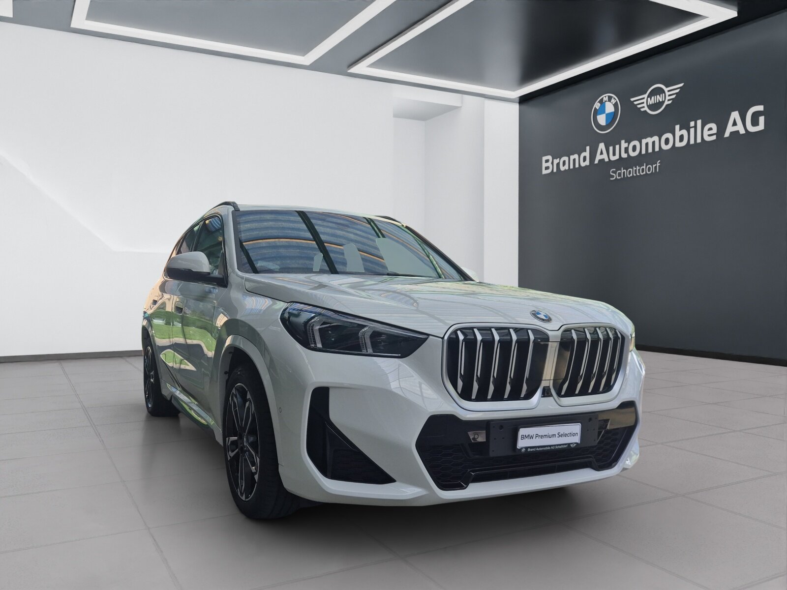 BMW X1 23d  paddles, Hybride Leggero Diesel/Elettrica, Occasioni / Usate, Automatico - 7