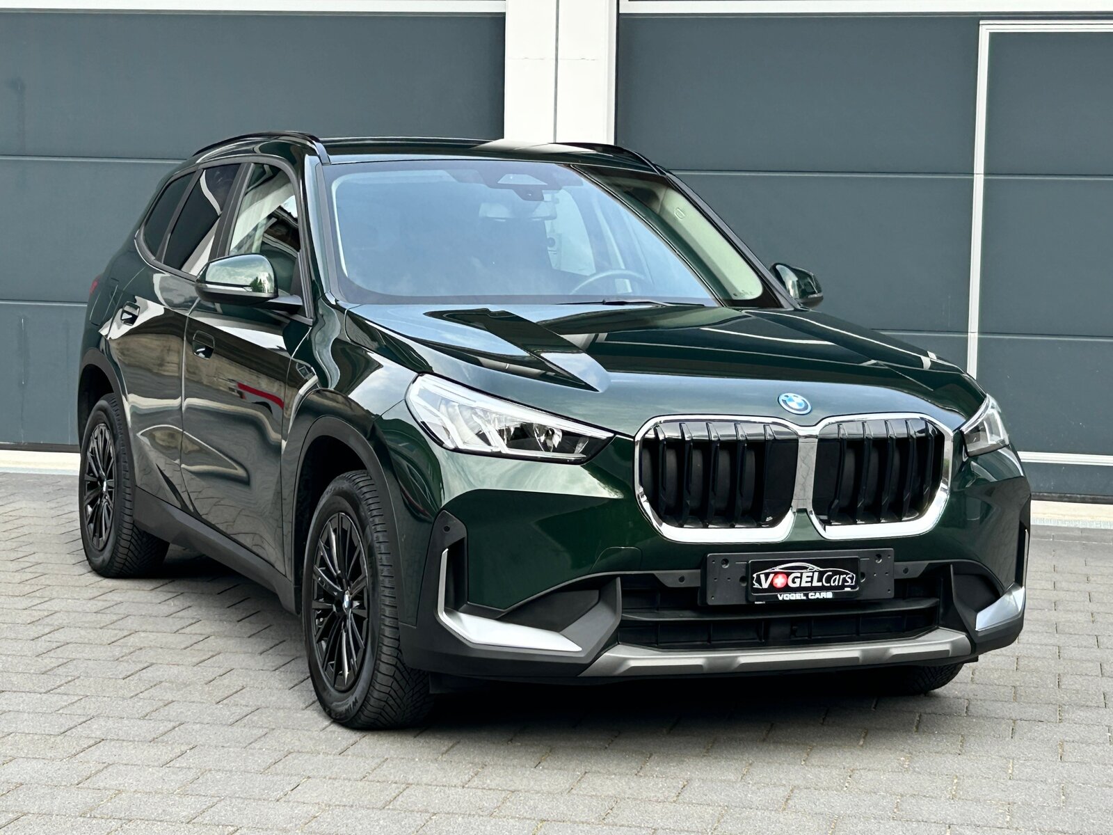 BMW X1 25e