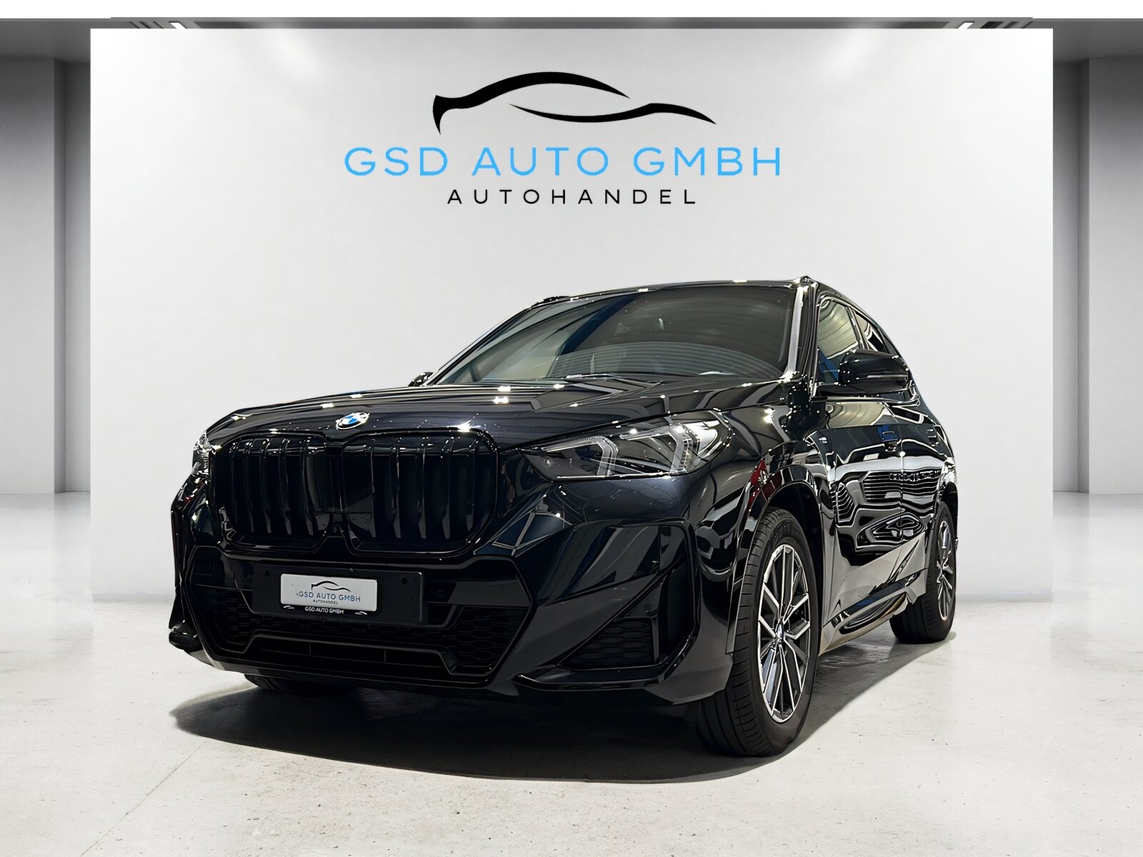 BMW X1 23d 48V M Sport**Panodach,AHK,M-Paket,4 Jahre Herstelle
