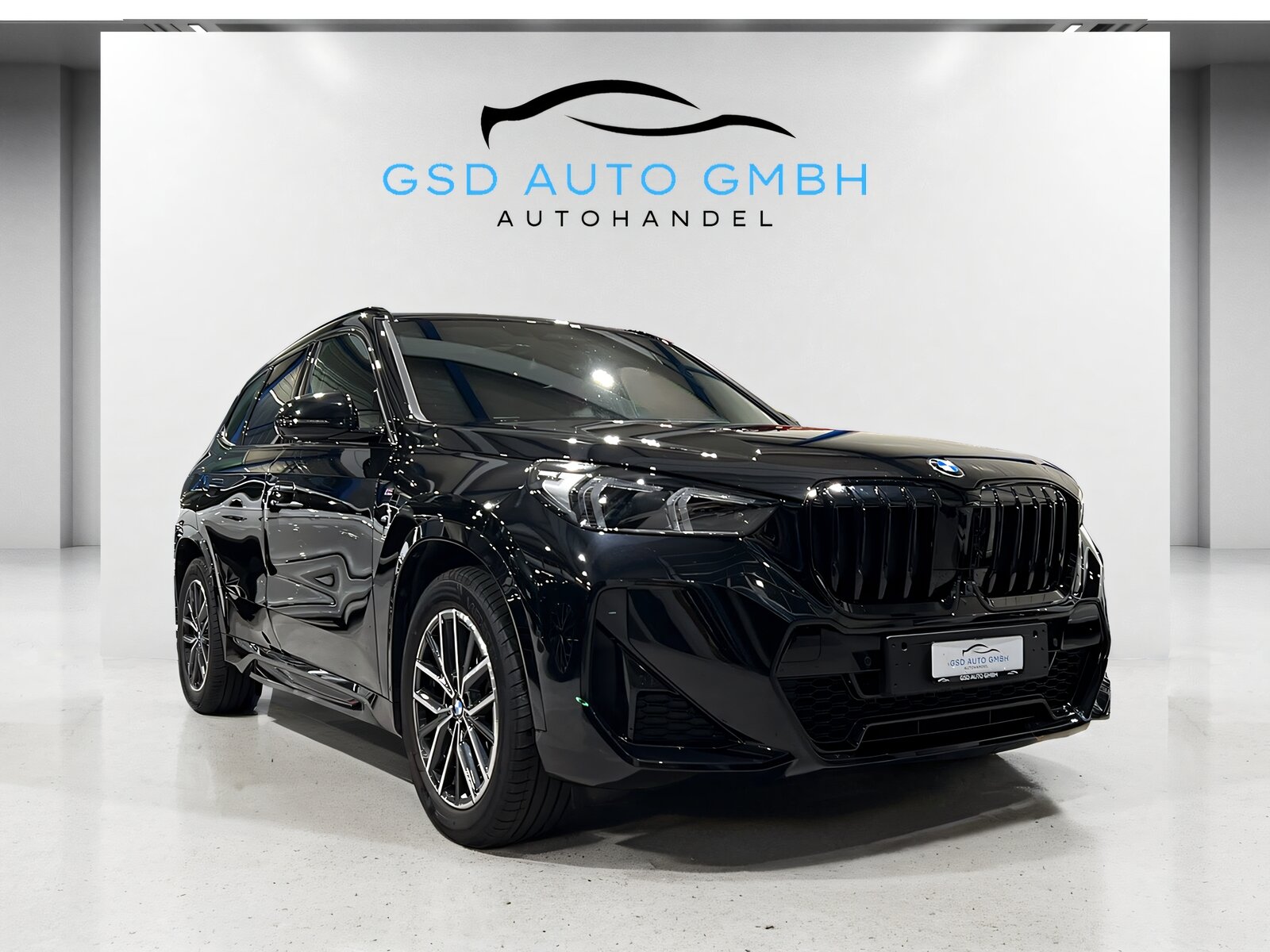 BMW X1 23d 48V M Sport**Panodach,AHK,M-Paket,4 Jahre Herstelle, Hybride Léger Diesel/Électricité, Occasion / Utilisé, Automatique - 6