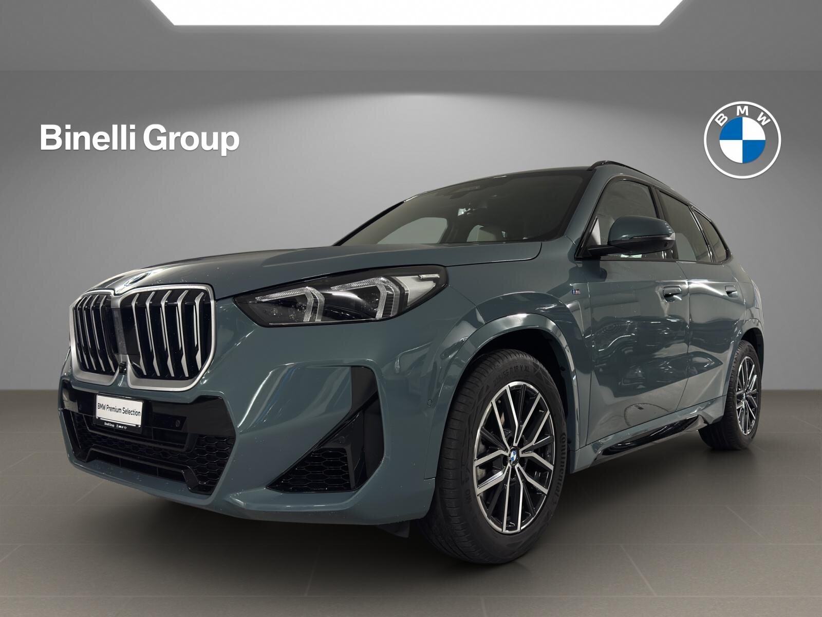 BMW X1 23i xDrive paddles