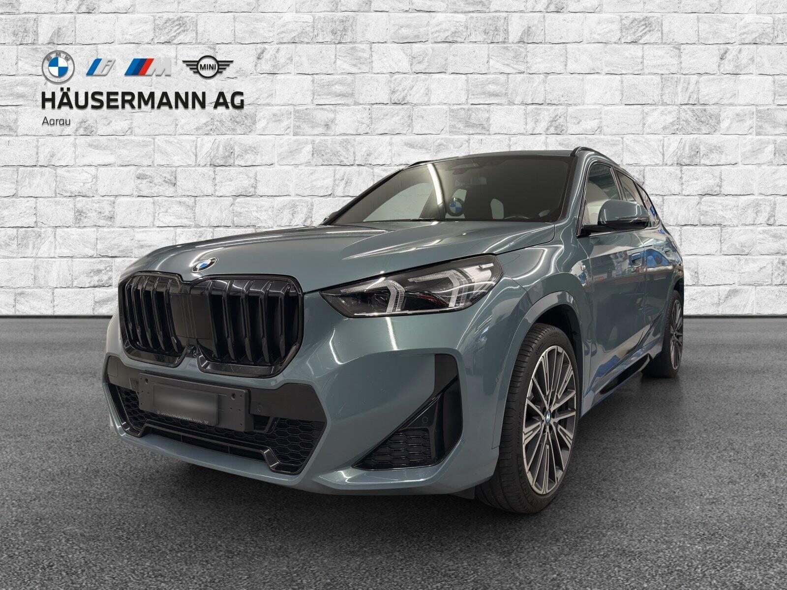 BMW X1 23d xDrive paddles