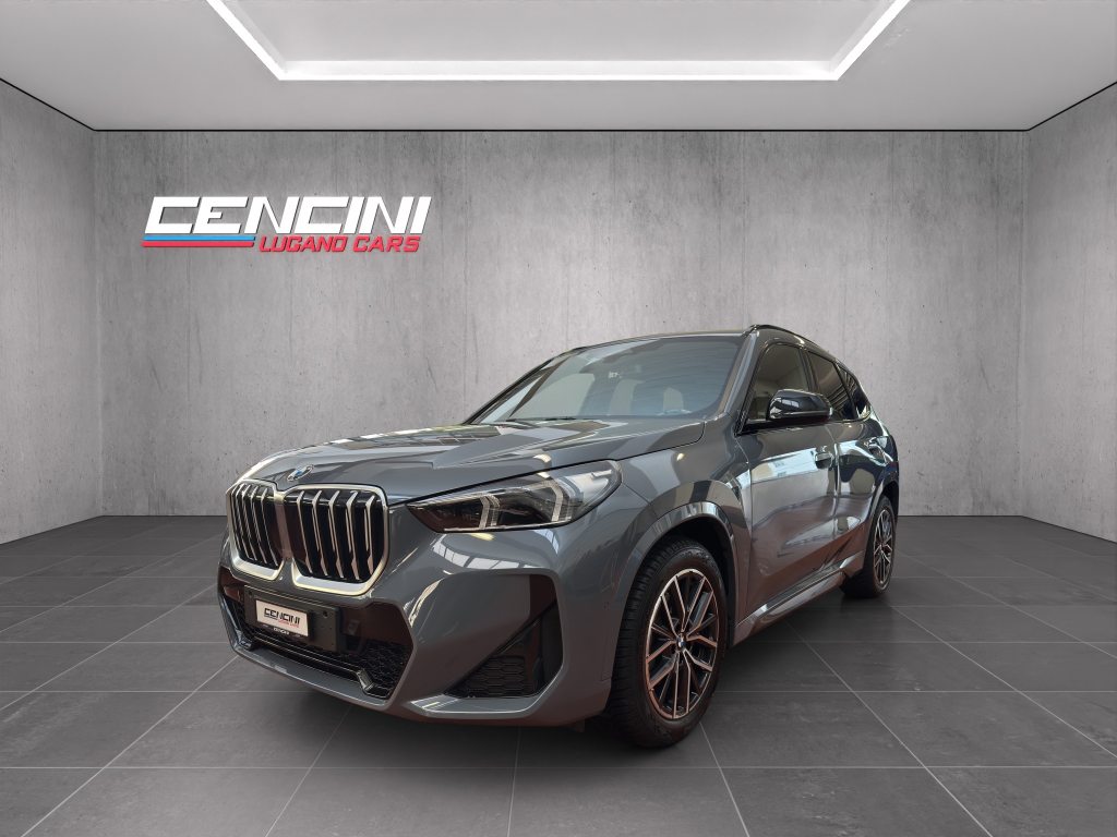 BMW X1 20d xDrive paddles