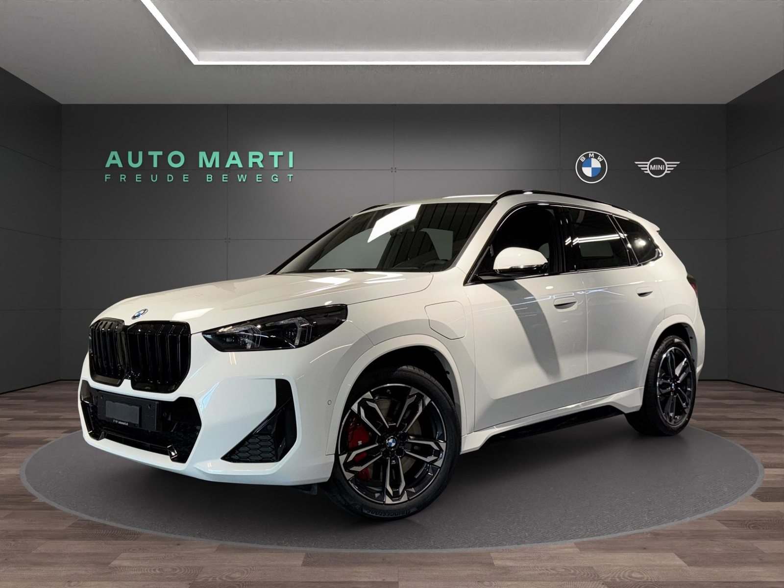 BMW X1 xDrive25e