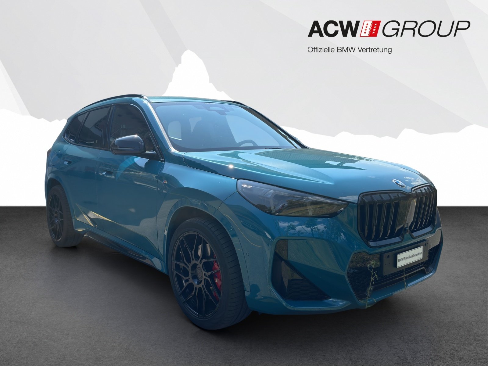 BMW X1 23d xDrive, Hybride Leggero Diesel/Elettrica, Occasioni / Usate, Automatico - 7
