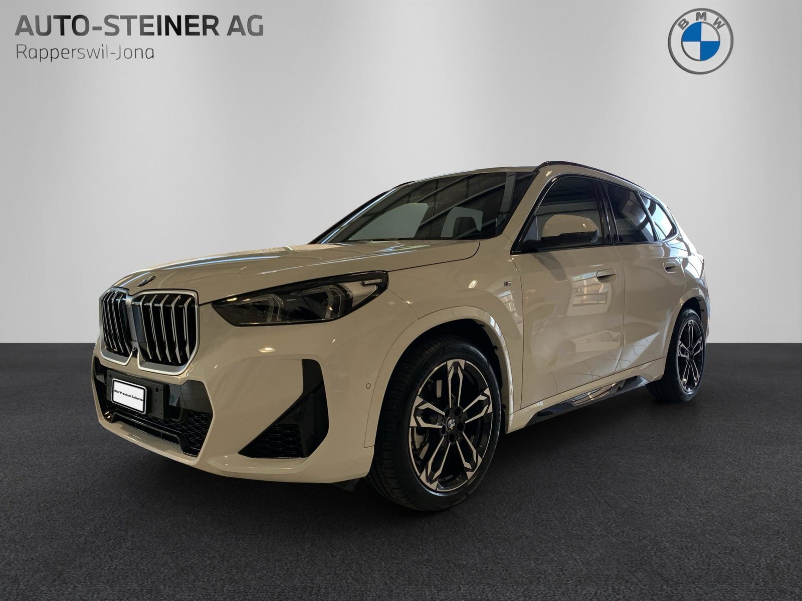 BMW X1 xDrive 23i 48V M Sport, Mild-Hybrid Petrol/Electric, Second hand / Used, Automatic