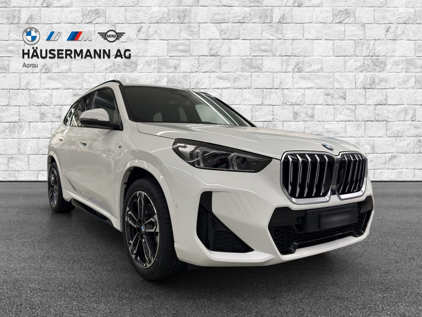 BMW X1 23i 48V M Sport, Mild-Hybrid Petrol/Electric, Second hand / Used, Automatic - 3