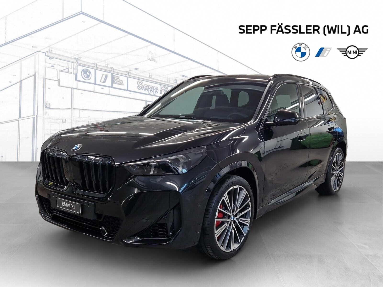 BMW X1