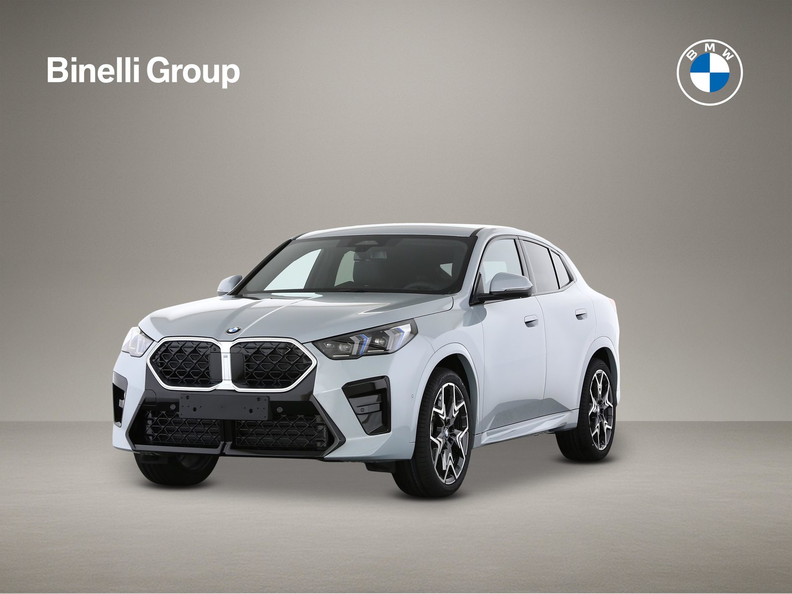 BMW X2 20d xDrive paddles