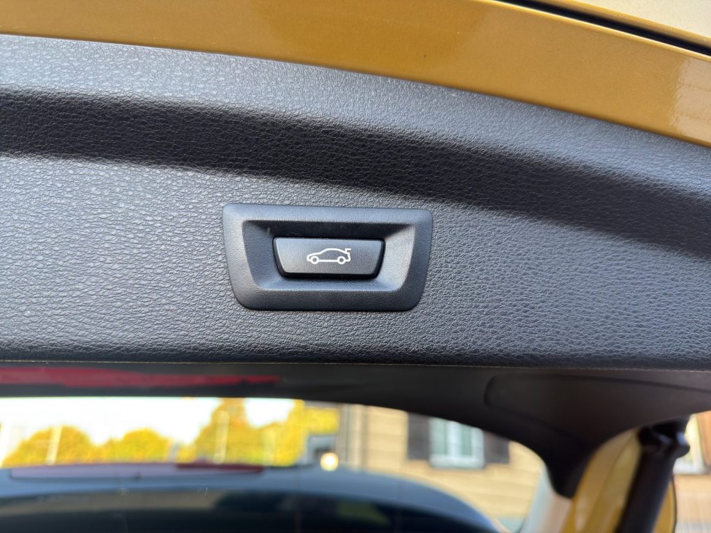 BMW X2 18i sDrive, Benzina, Occasioni / Usate, Automatico - 7