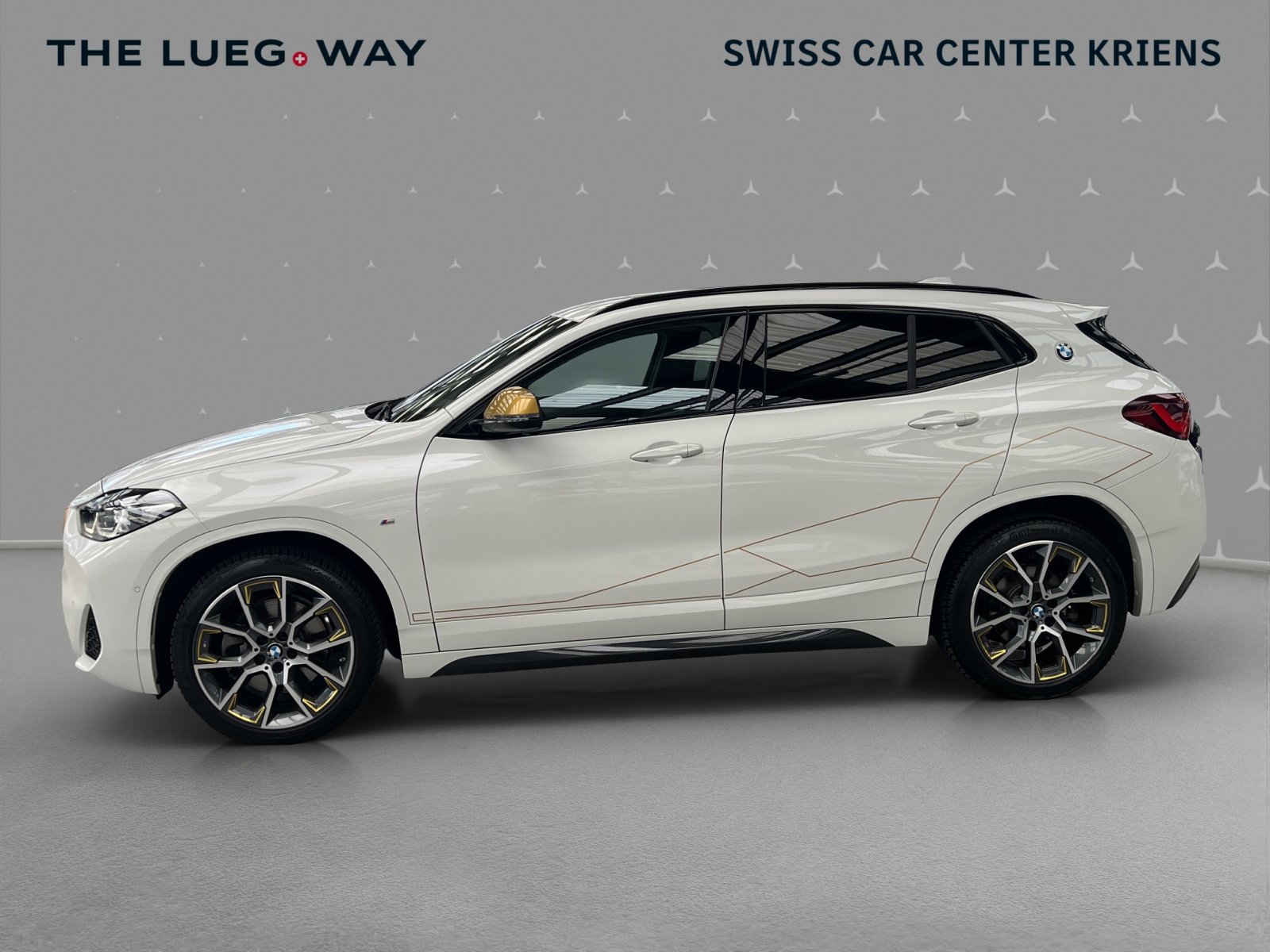 BMW X2 20d GoldPlay Steptronic / Head-Up Display / R, Diesel, Occasion / Gebraucht, Automatik - 2