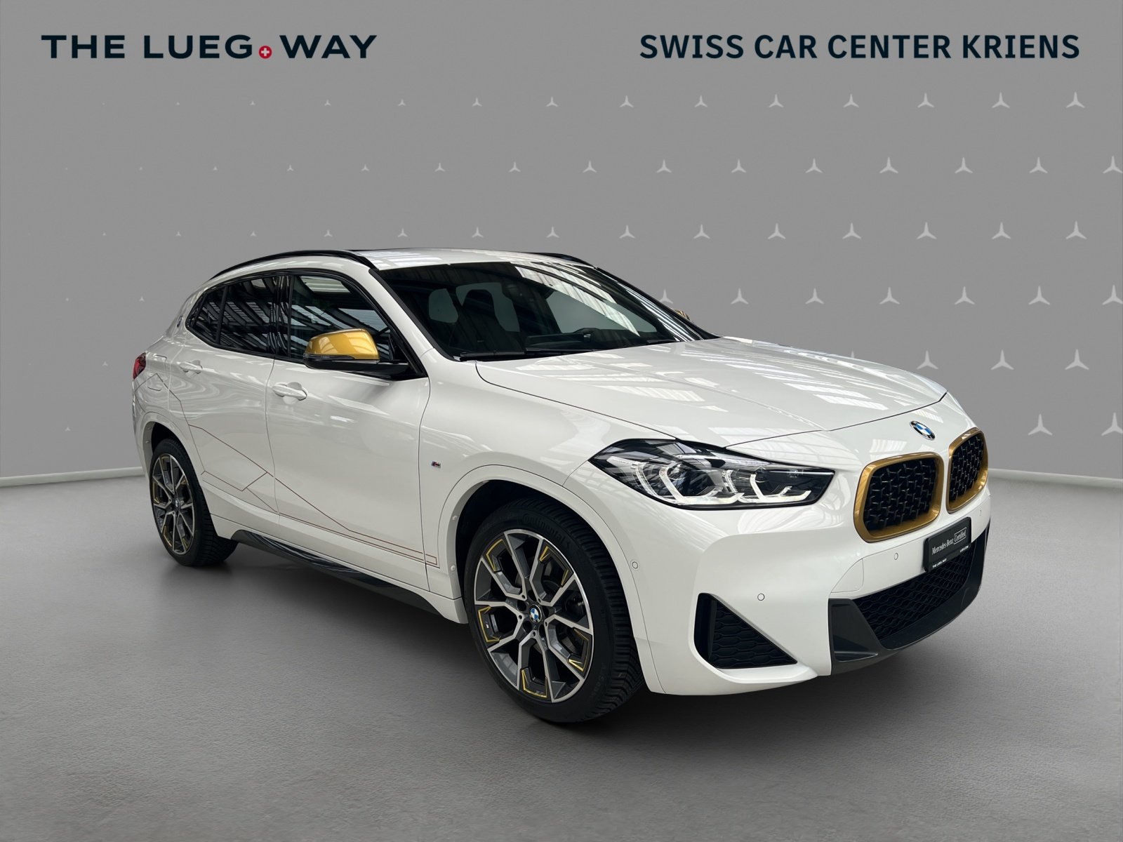 BMW X2 20d GoldPlay Steptronic / Head-Up Display / R, Diesel, Occasion / Gebraucht, Automatik - 6