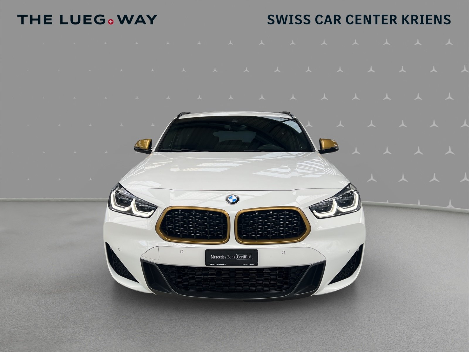 BMW X2 20d GoldPlay Steptronic / Head-Up Display / R, Diesel, Occasion / Gebraucht, Automatik - 7