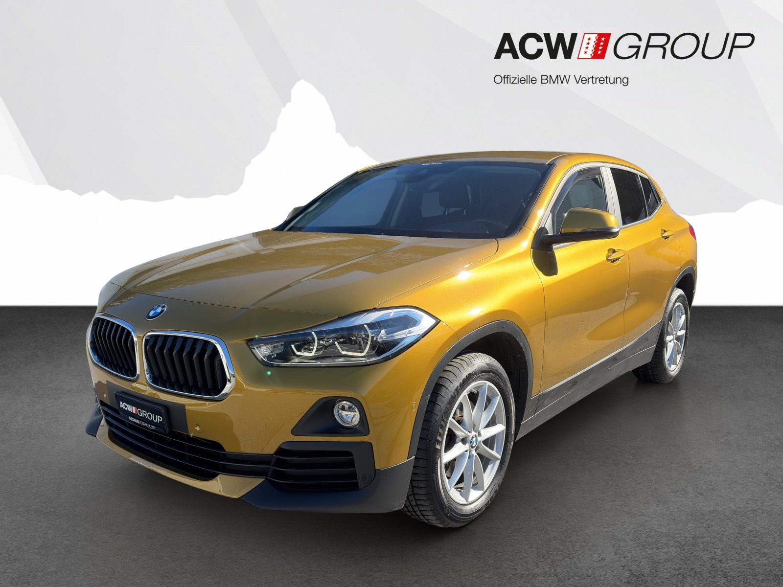 BMW X2 18d