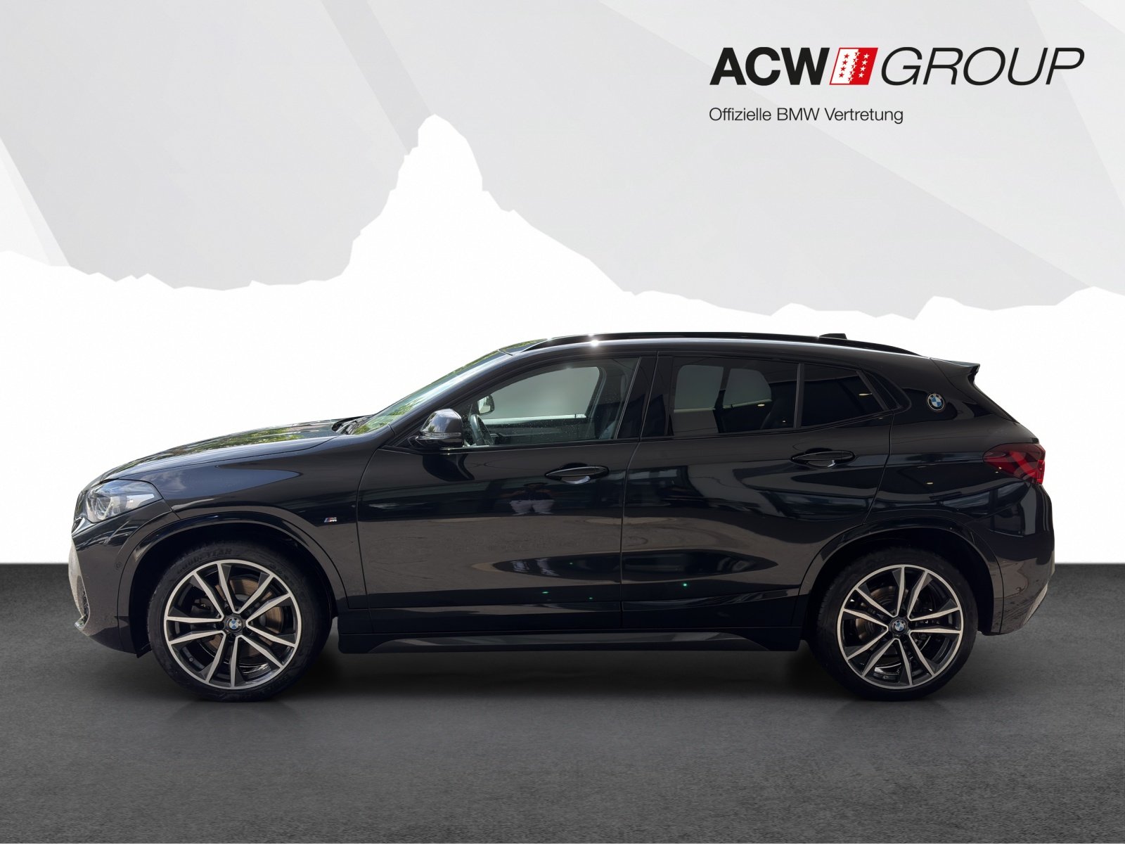 BMW X2 20i, Benzina, Occasioni / Usate, Automatico - 2
