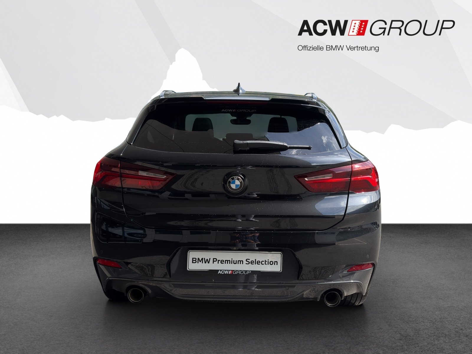 BMW X2 20i, Benzina, Occasioni / Usate, Automatico - 4