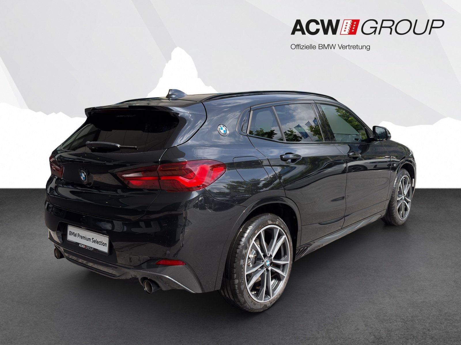 BMW X2 20i, Benzina, Occasioni / Usate, Automatico - 5